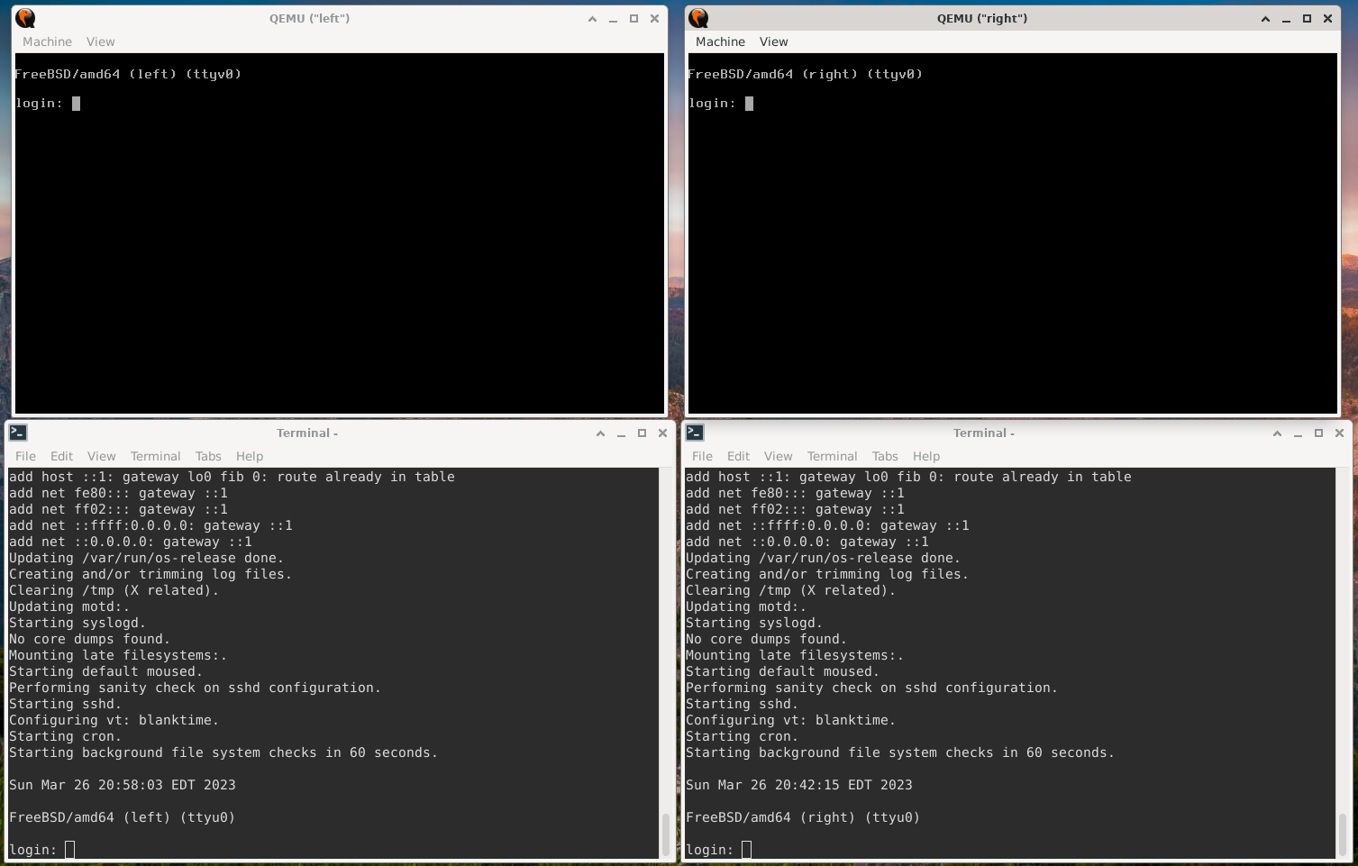 Figure 3: Two Qemu VMs With Console and Serial Sessions